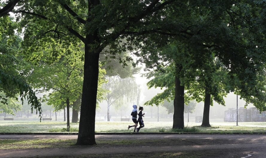 हृदय स्वस्थ रखने के उपाय – सरल और प्रभावी जीवनशैली बदलाव